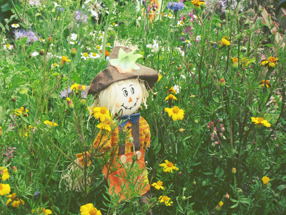 small scarecrow