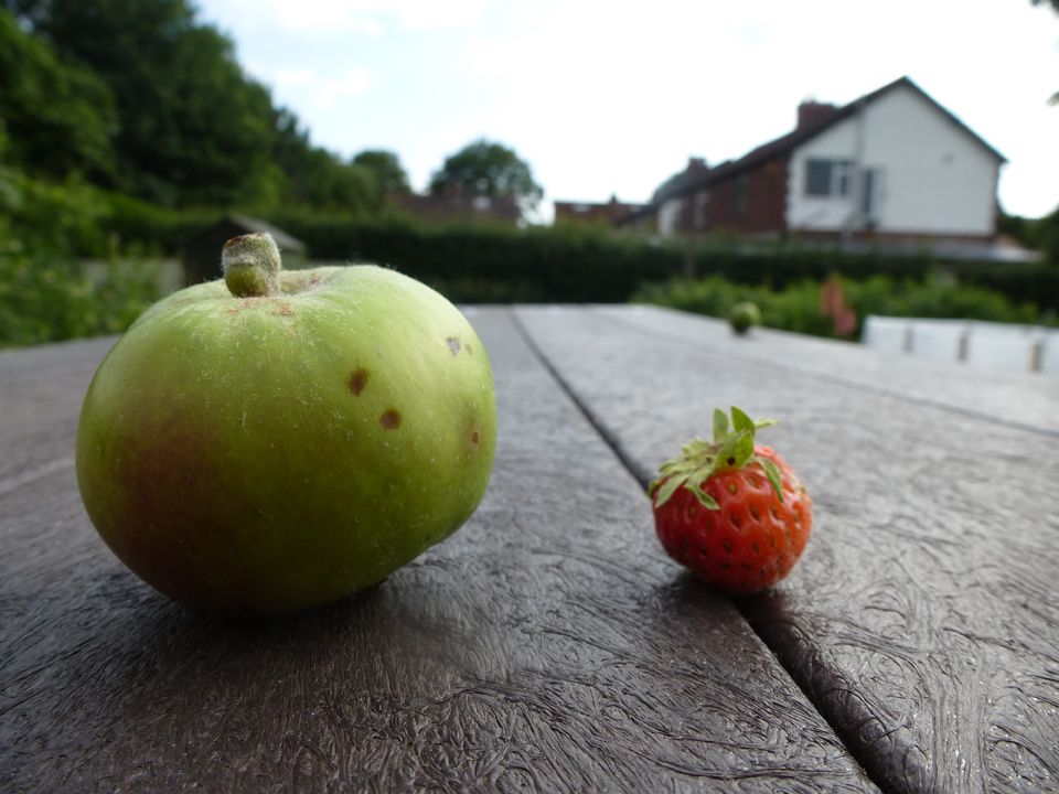 apple and strawberry