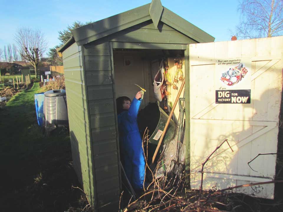 green-allotment-shed