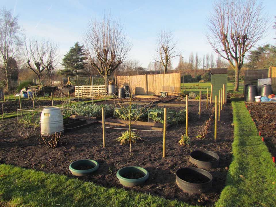 perfect-tidy-winter-allotment