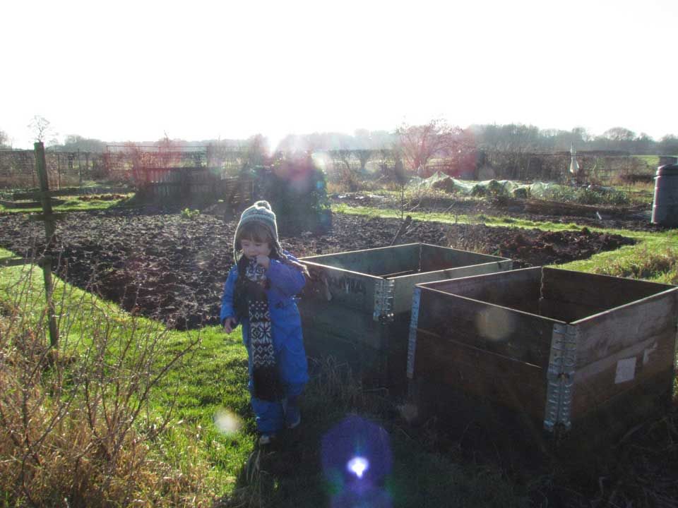 sunlit-allotment