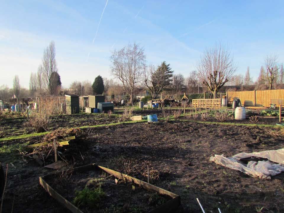 winter-allotment