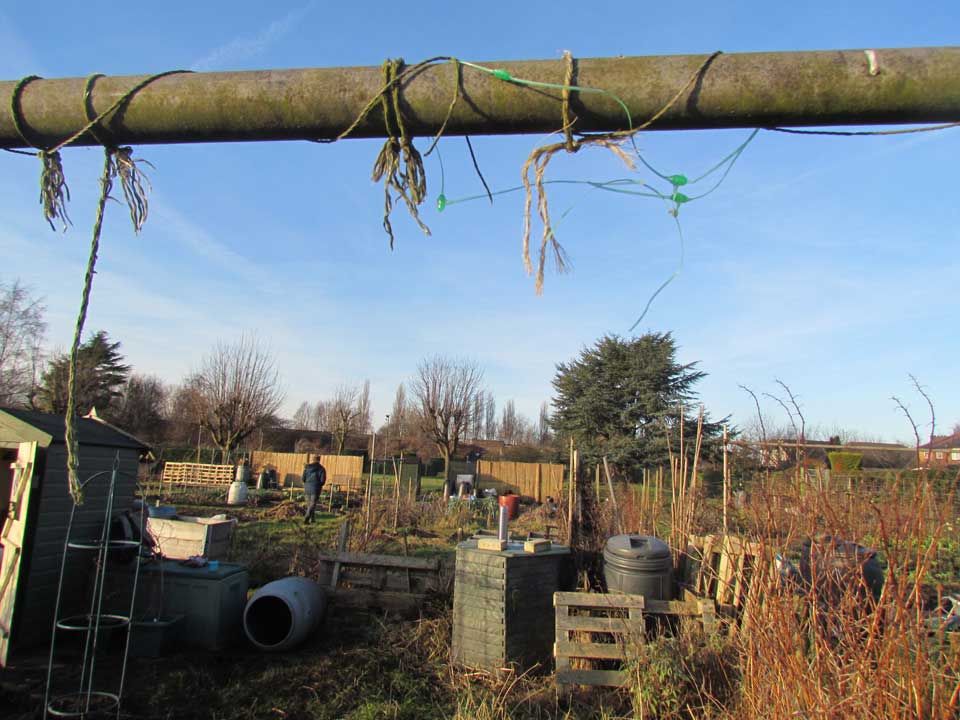 cold allotment