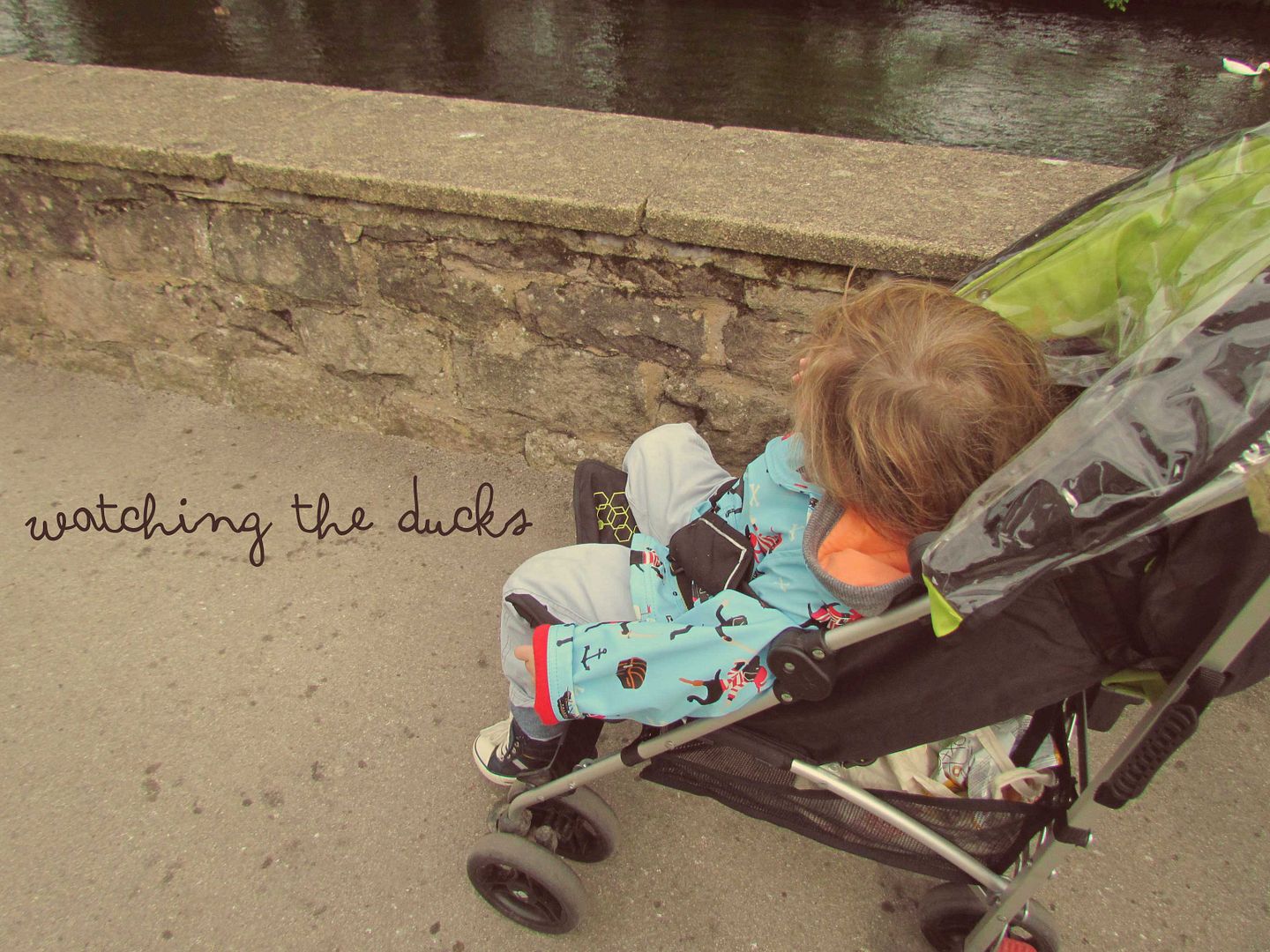 watching ducks near the River Wye