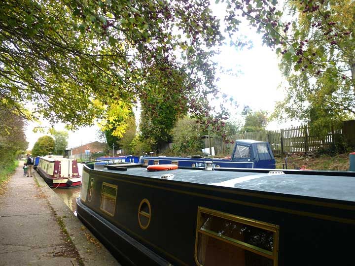 autumn on the canal