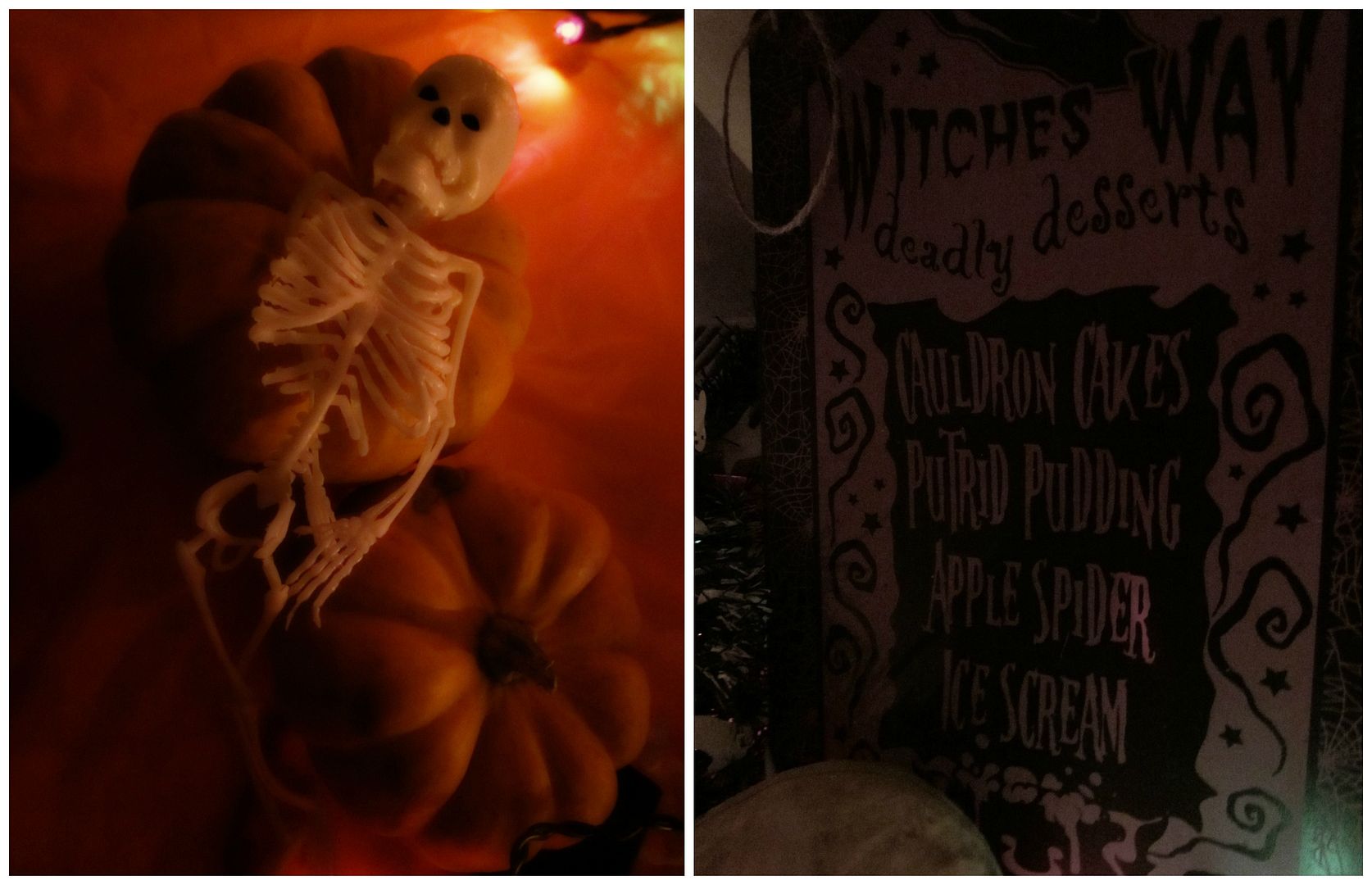 munchkin pumpkins