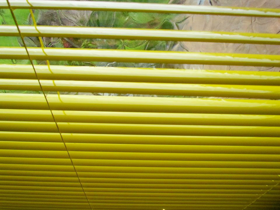 yellow Venetians