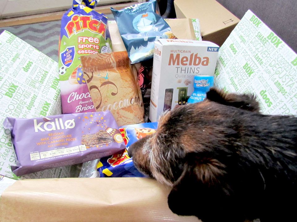 Degustabox contents June 2015
