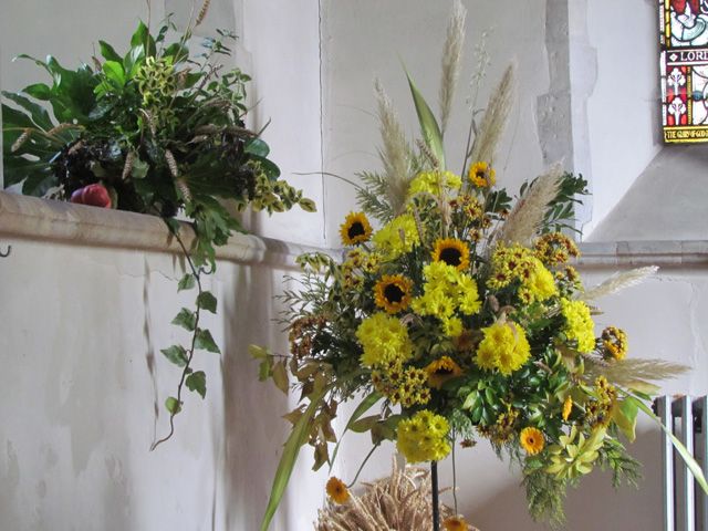 harvest flowers