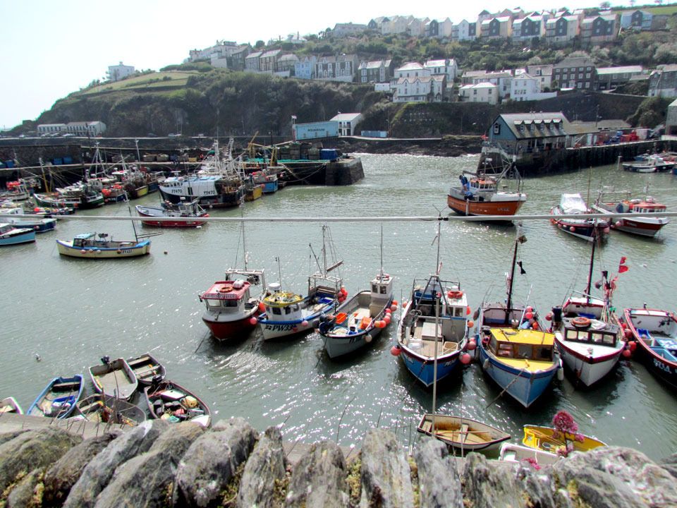 boats at Mevagissey