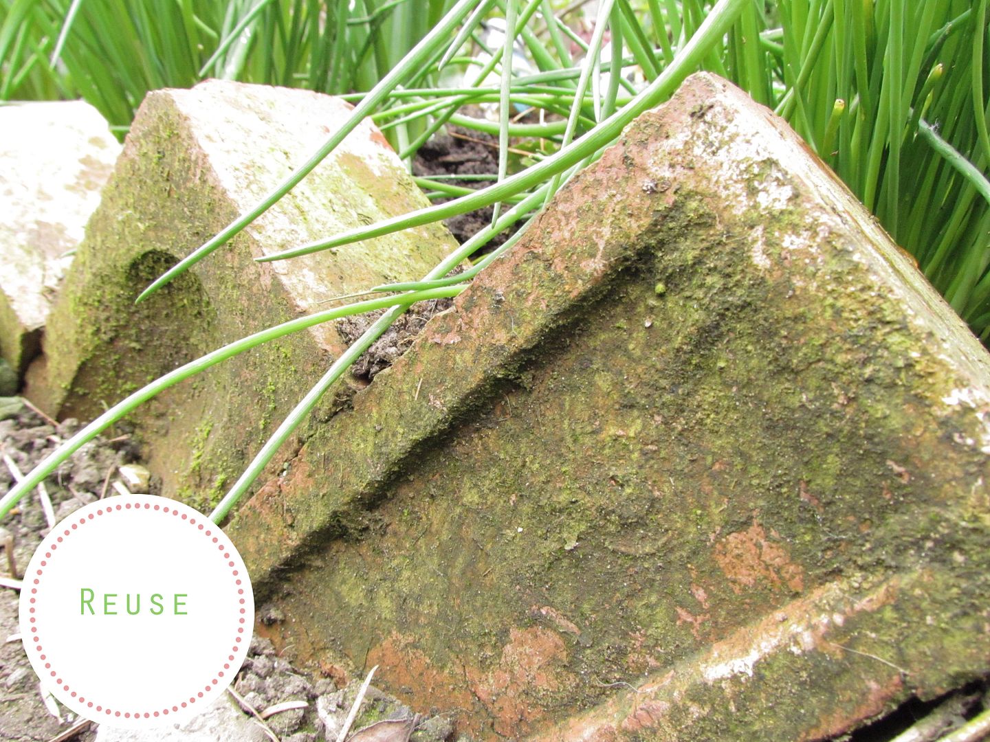 Brick edging
