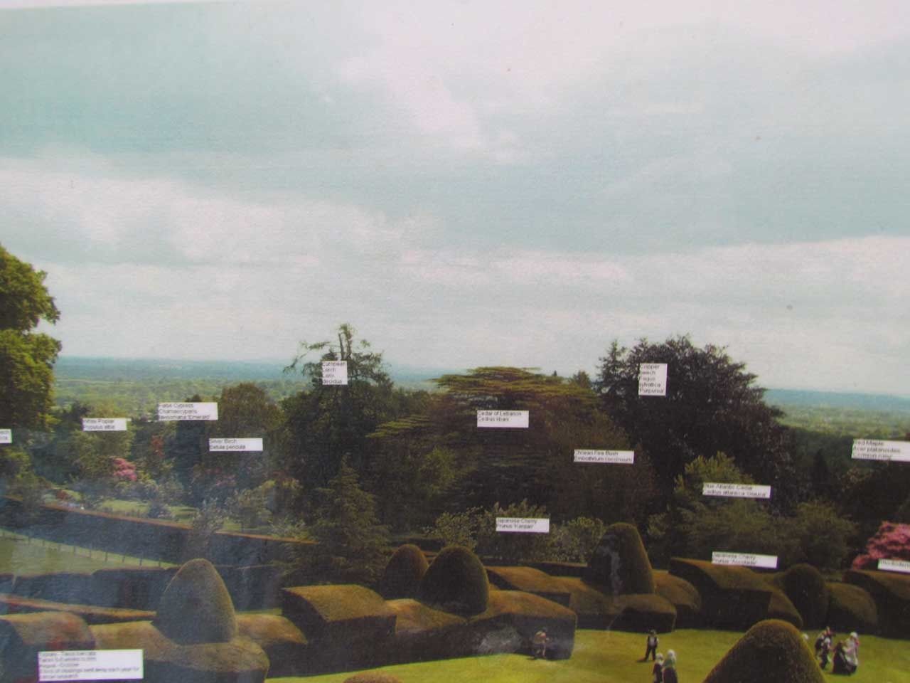 Chirk garden map