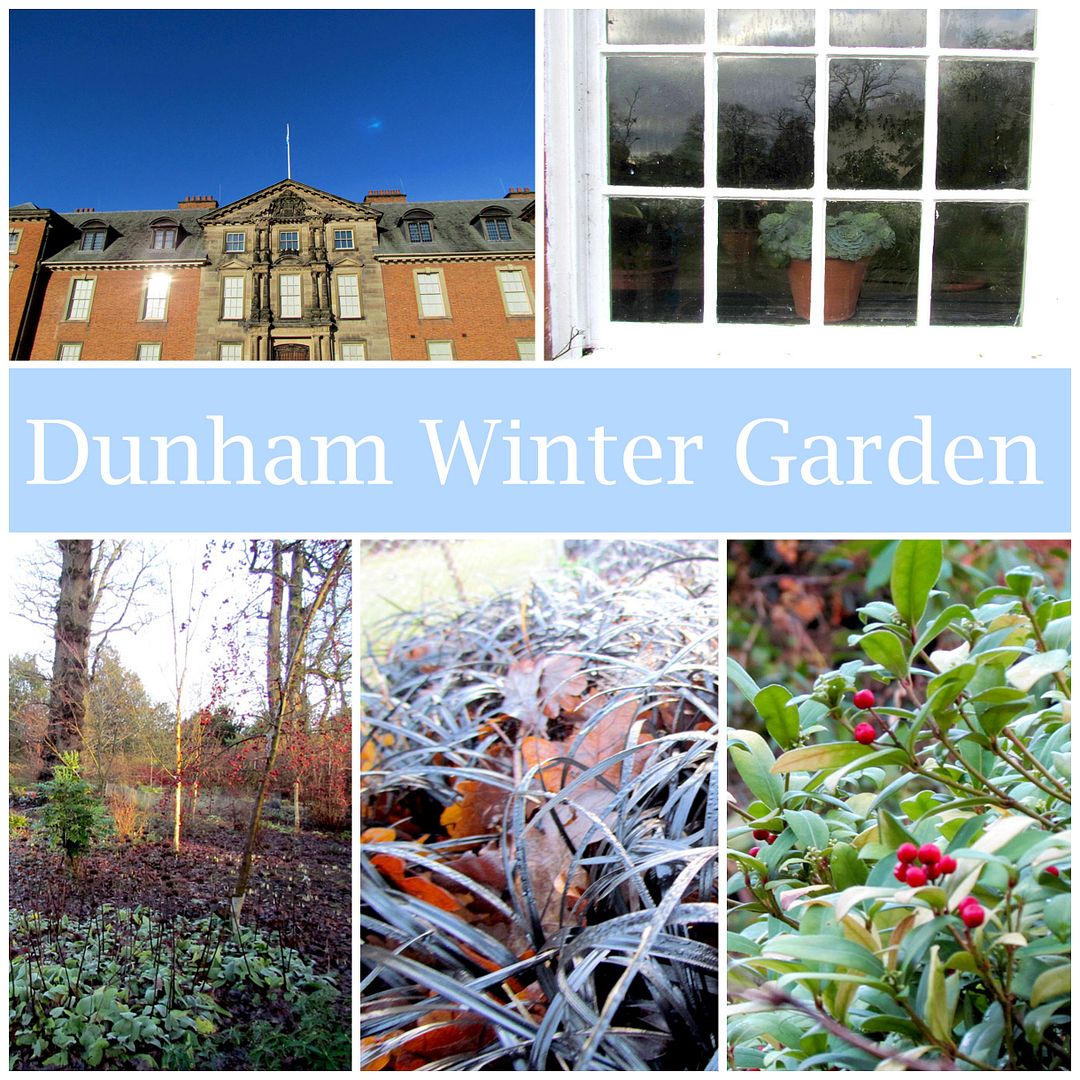 the winter garden at Dunham