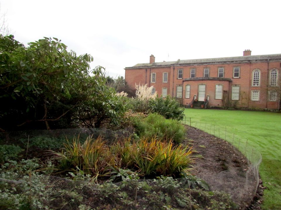 Dunham Massey winter garden