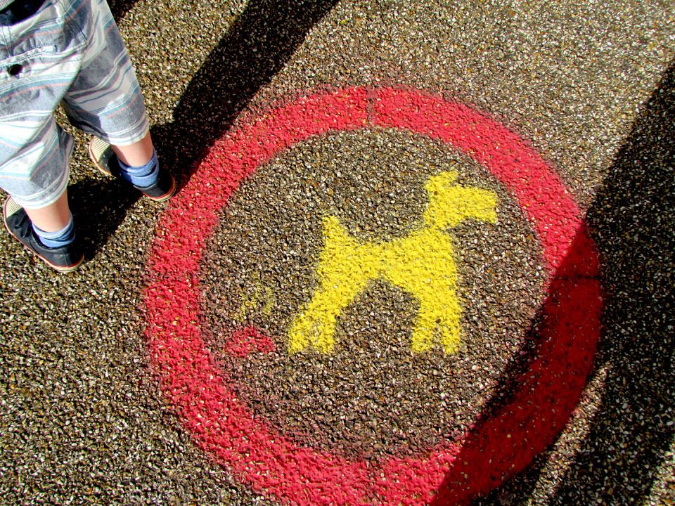 pick up your dog poop
