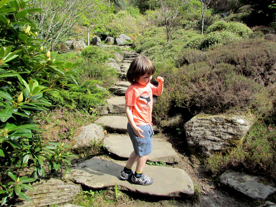 garden dancing