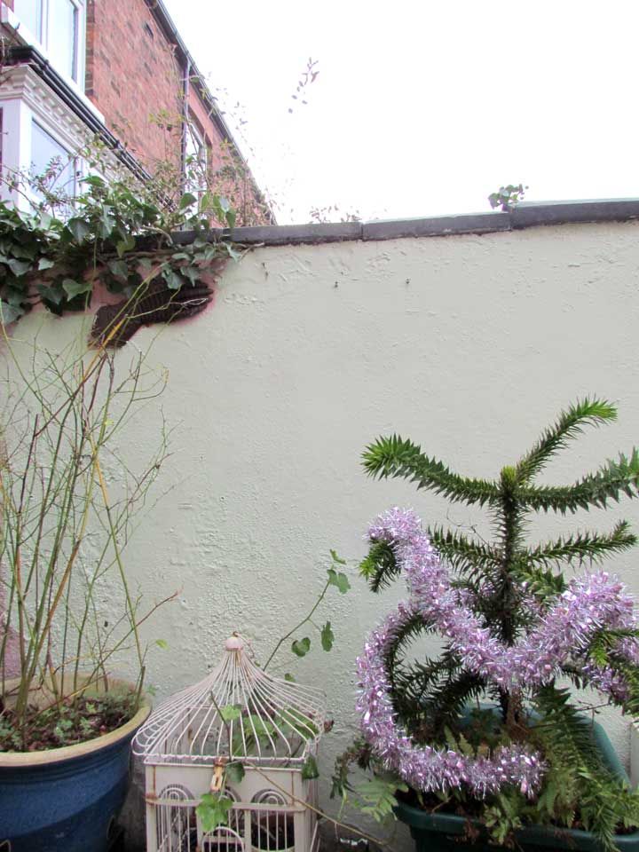 Dulux Weathershield Smooth Masonry Paint Spring Meadow