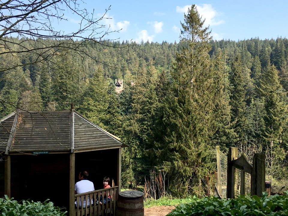 wooden hut