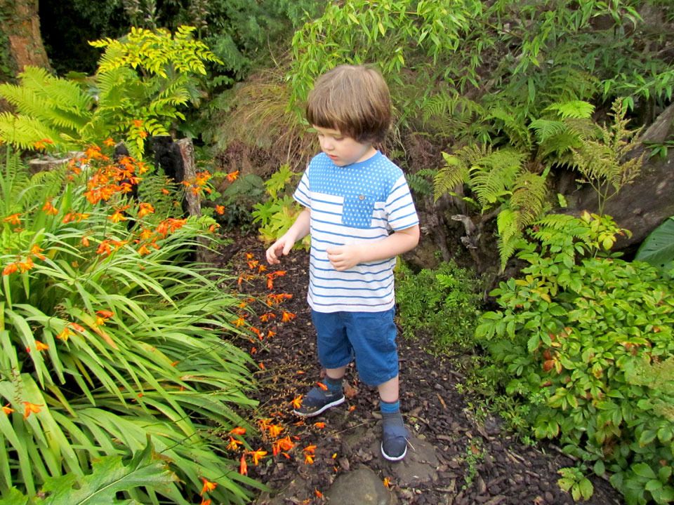 looking at the flowers