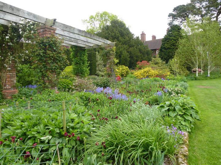 flower borders