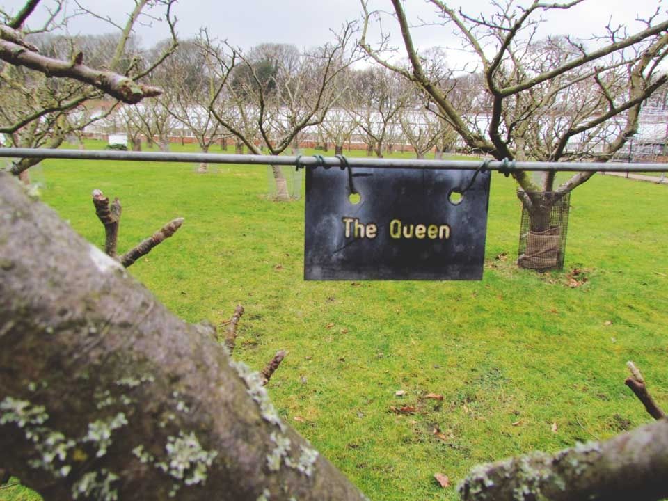 The Queen