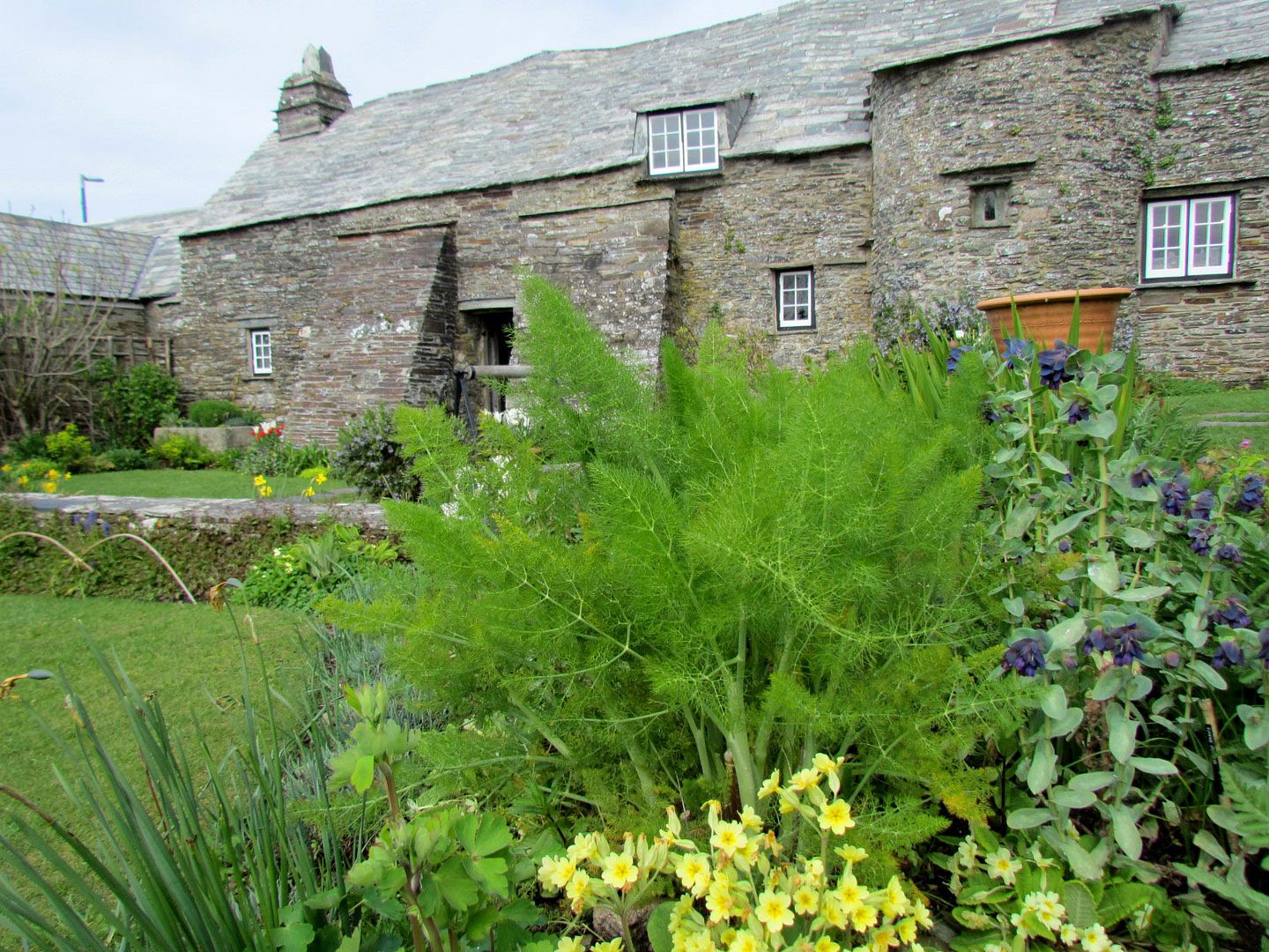 Tintagel-little-post-office