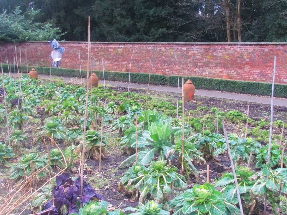 a-pretty-kitchen-garden