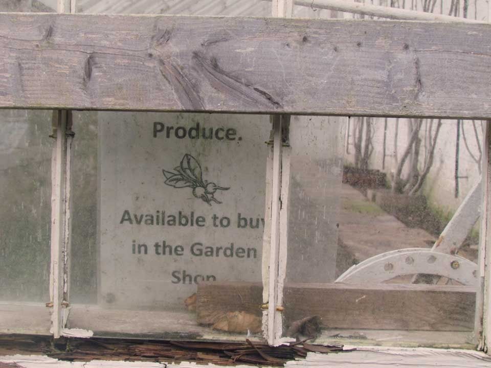 buy-garden-produce