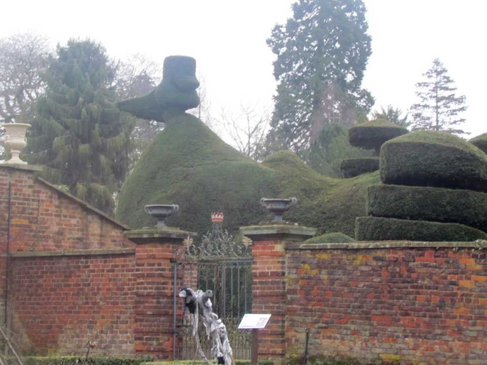 dog-topiary