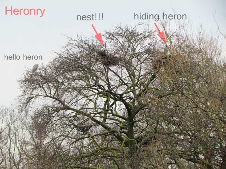 heronry-Rode-Hall