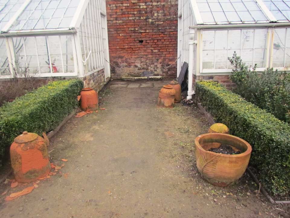 pots-and-rhubarb-forcers