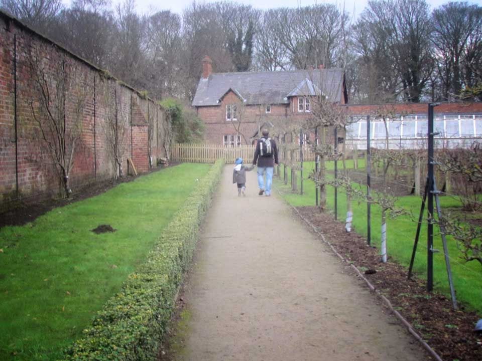 vegetable-garden