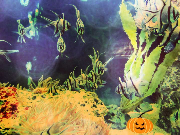Halloween fish