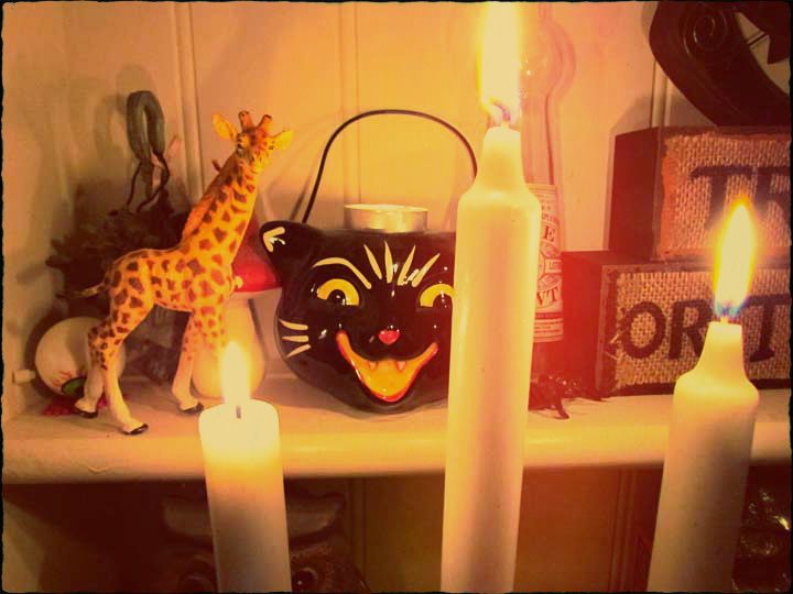giraffe