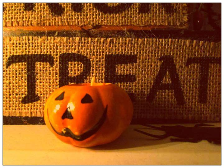 little pumpkins