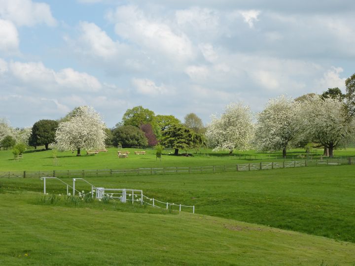  The grounds of Cholmondeley Castle