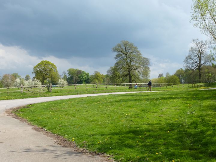  beautiful green landscape