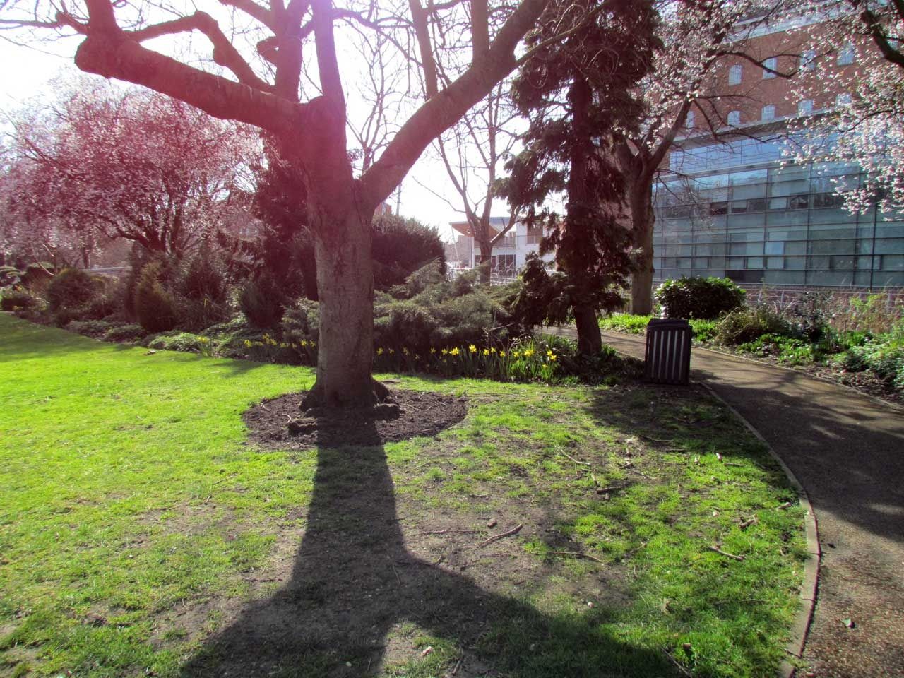 Spring-shadows