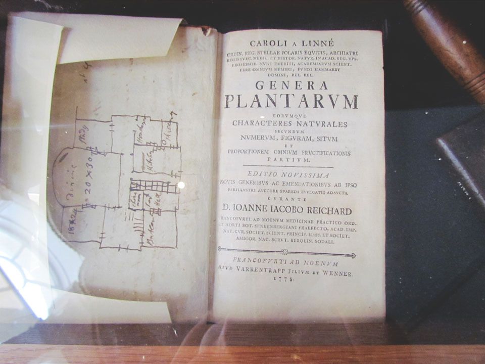 Genera Plantarum