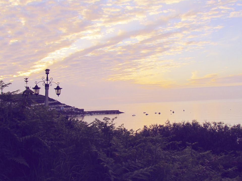 pink sea skies