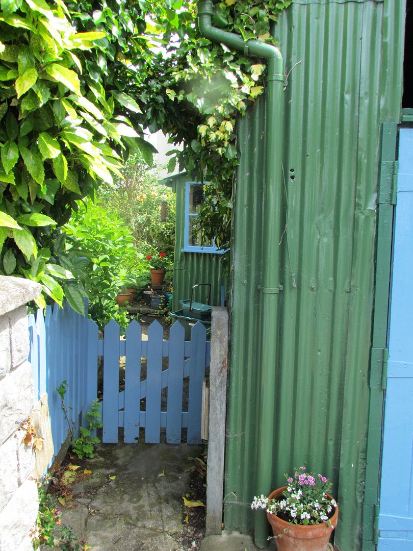 peep into a garden