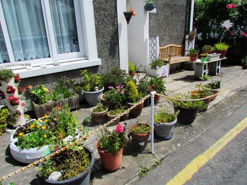 coastal garden