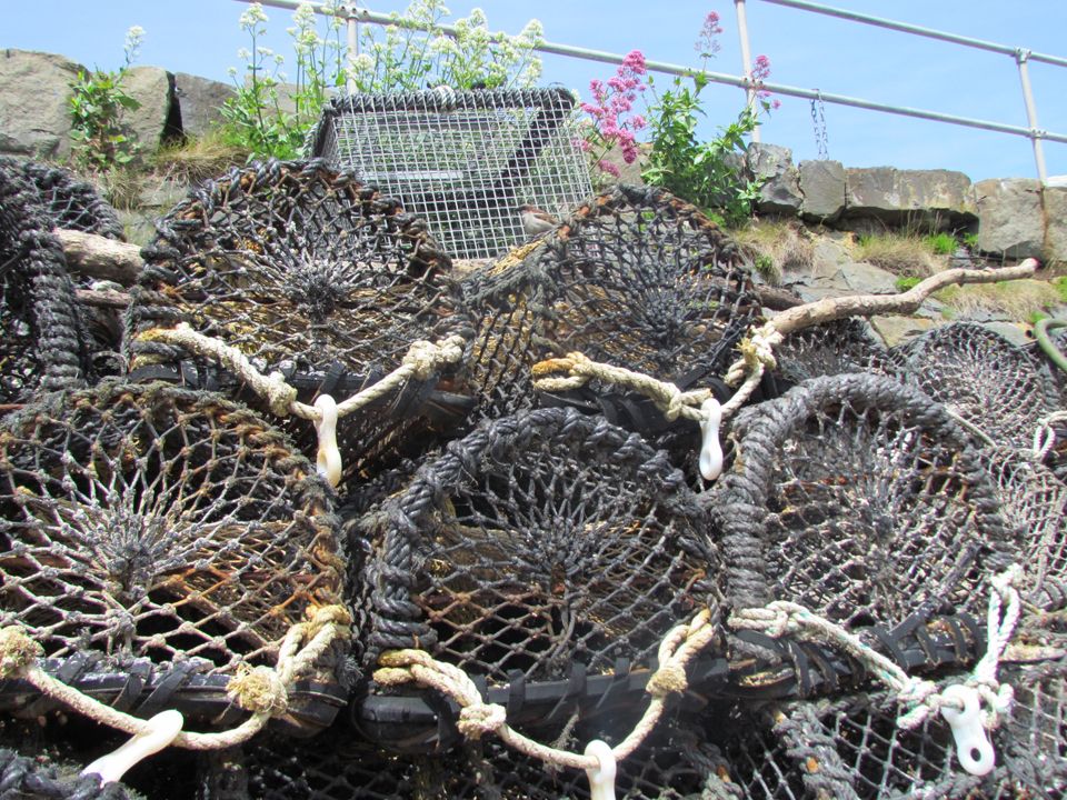 crab pots