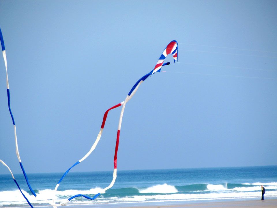 kite