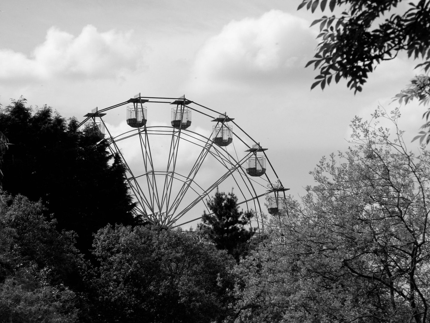 Lightwater-Wheel