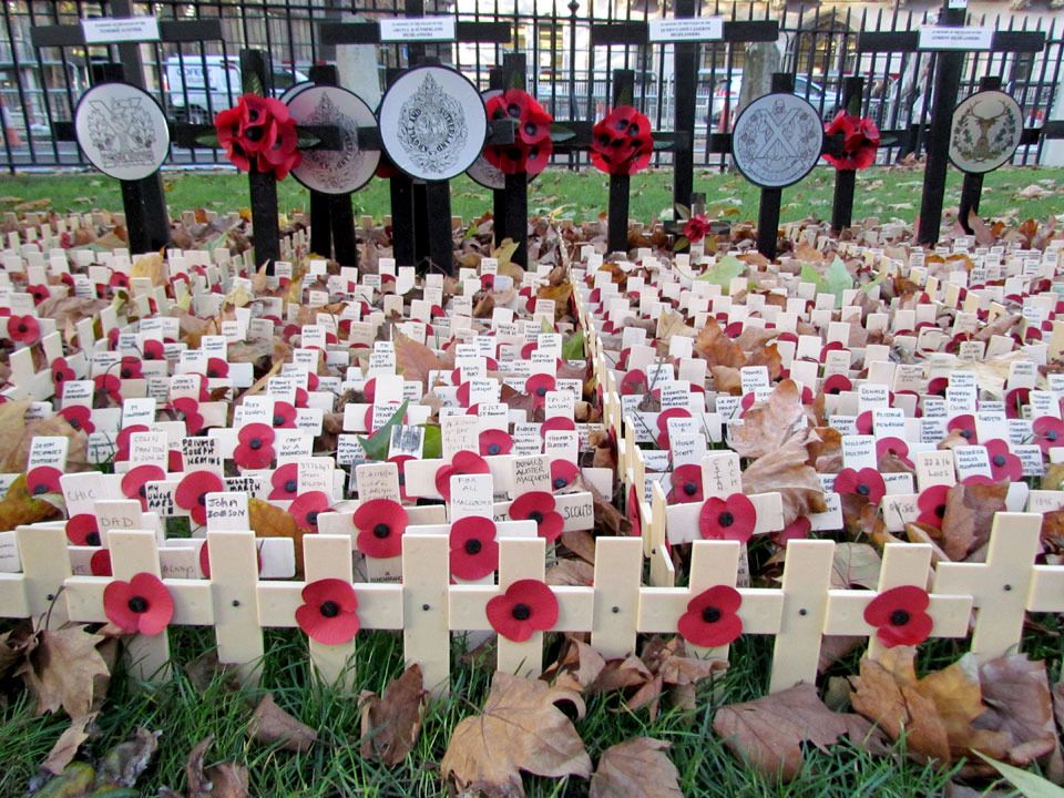 crosses and poppies