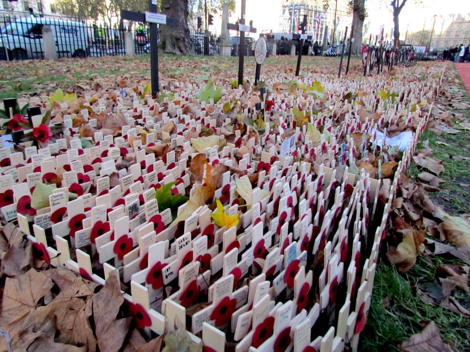 planted remembrance croses