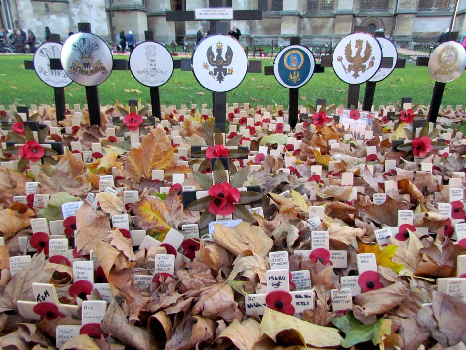 remembrance amongst autumn leaves