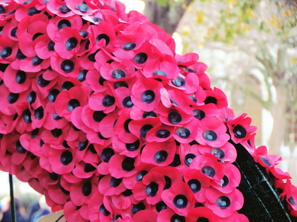poppies