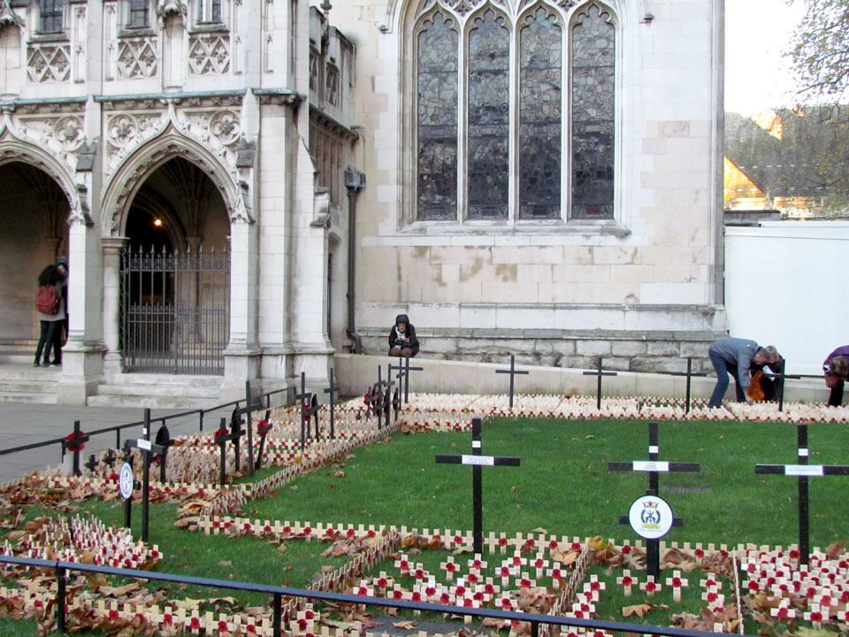 Westminster Abbey poppy fields